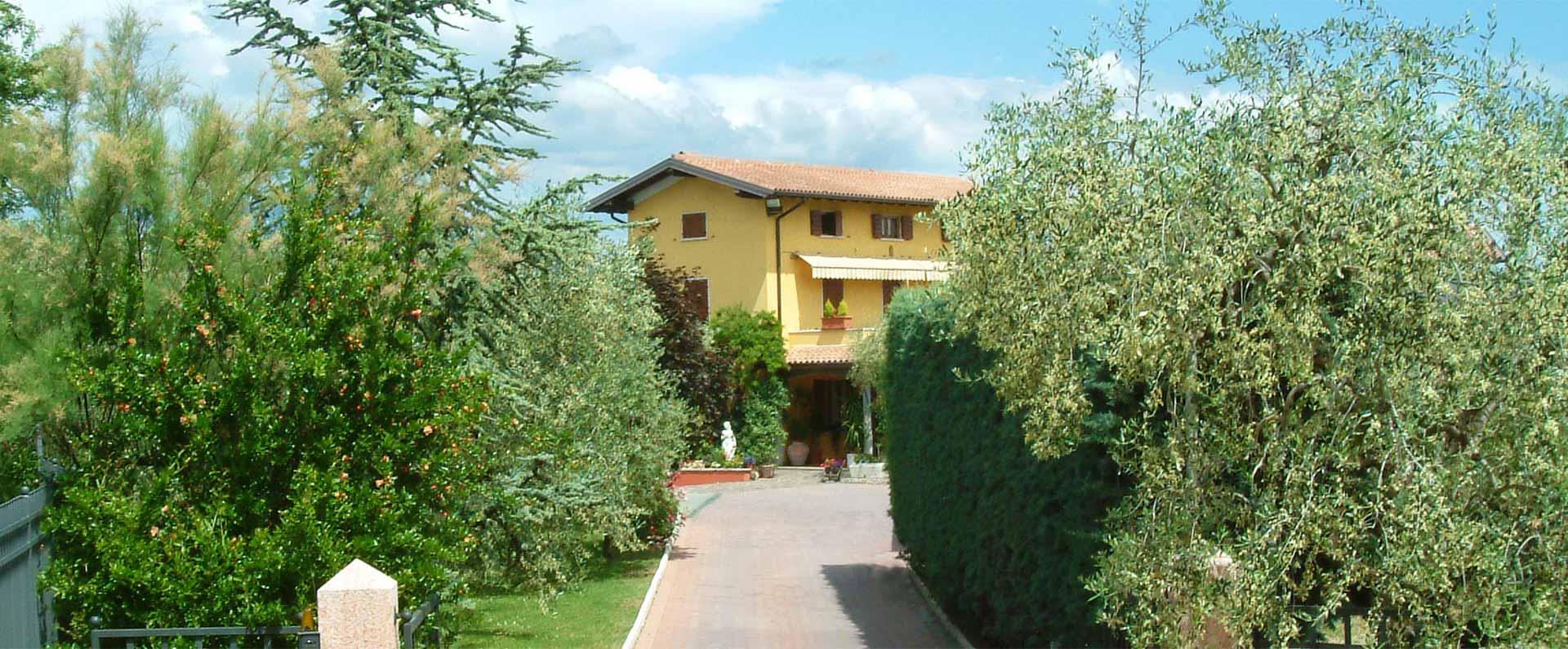 azienda agricola monte oliveto